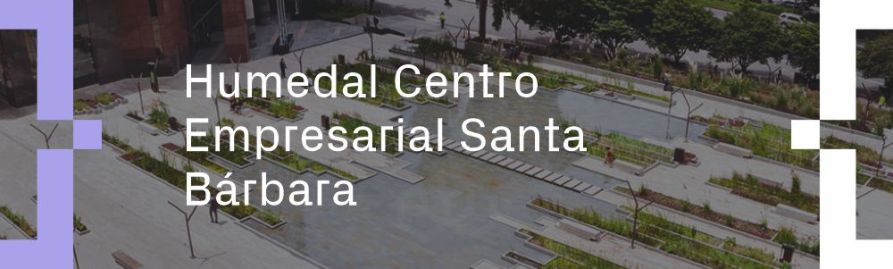 Humedal Centro Empresarial Santa Bárbara