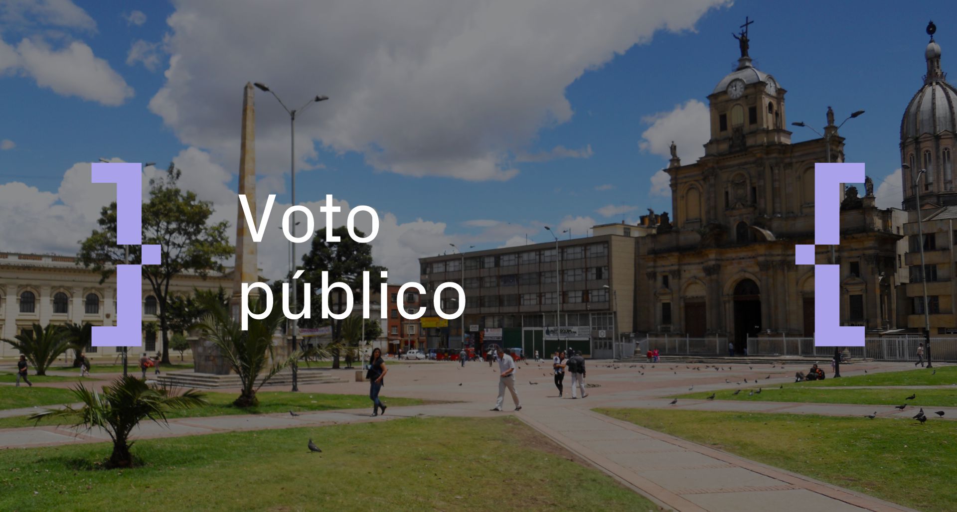 Voto público
