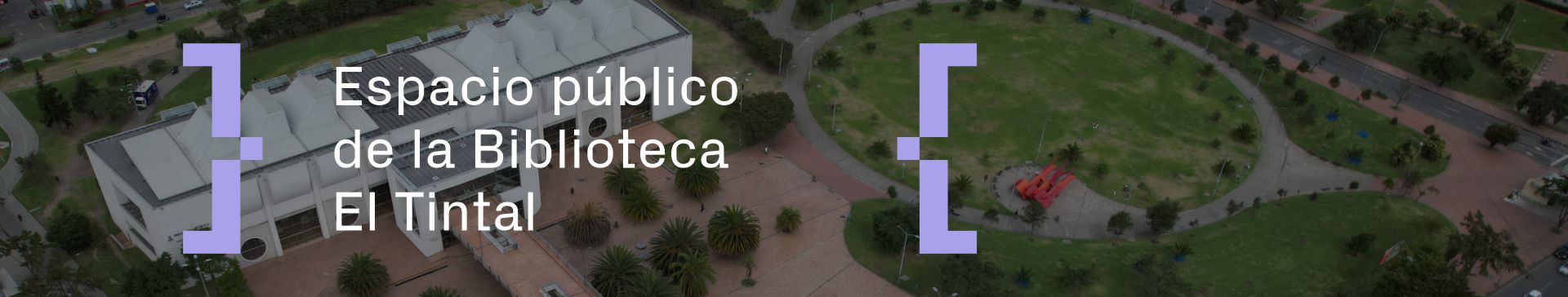 Biblioteca el Tintal