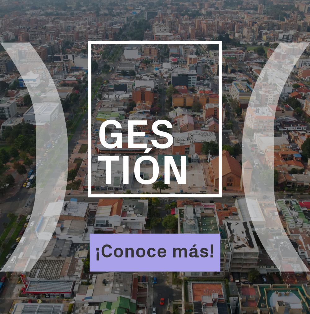 Categoría 2 - gestión