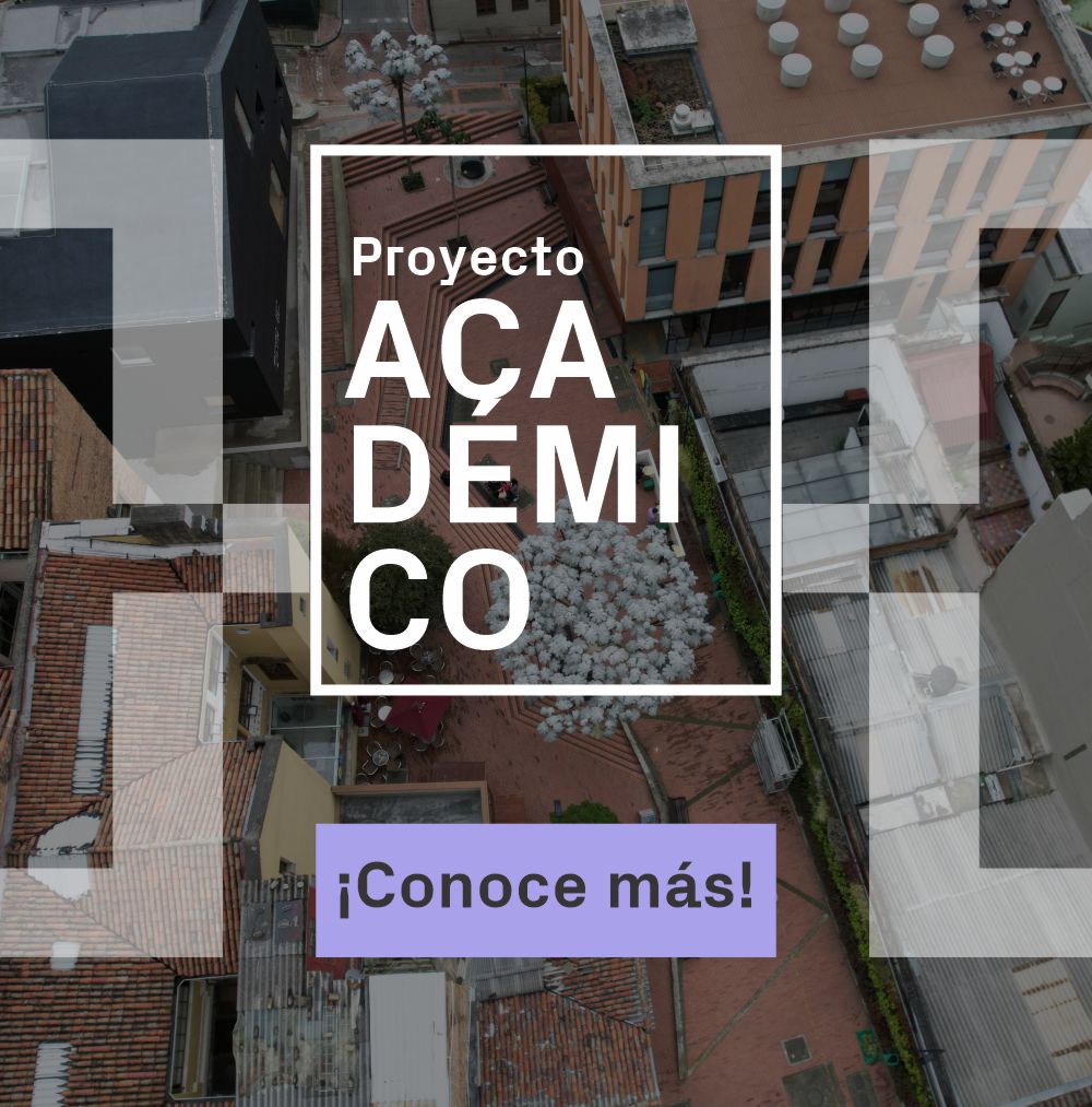 Categoría 3 - Académico