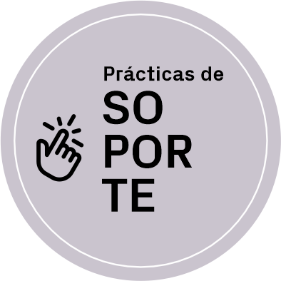 Practicas soporte