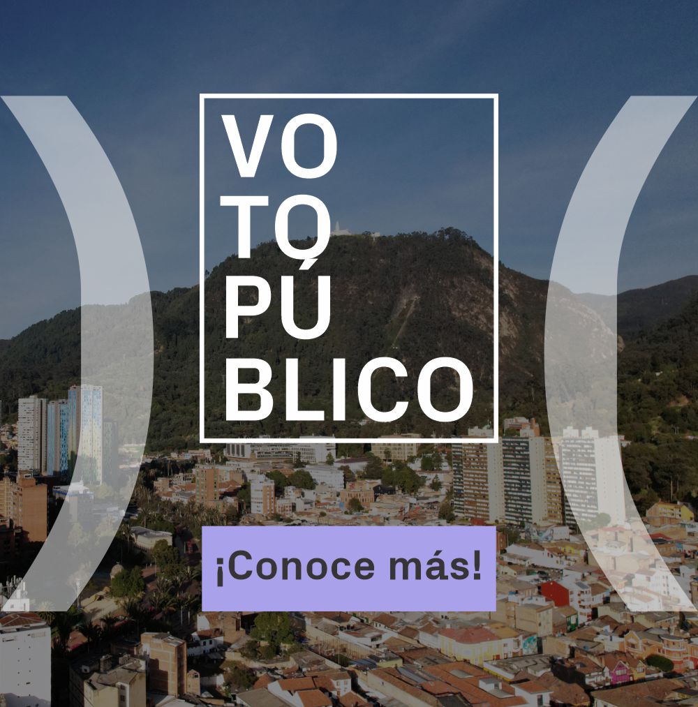 Voto publico